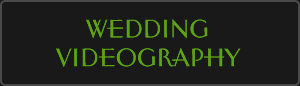 Wedding Videography